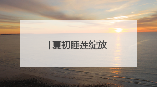 夏初睡莲绽放 一池清雅入画
