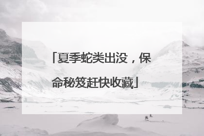 夏季蛇类出没，保命秘笈赶快收藏