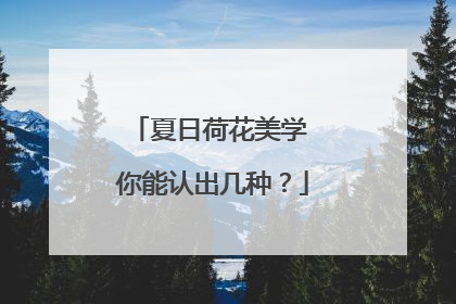 夏日荷花美学 你能认出几种？