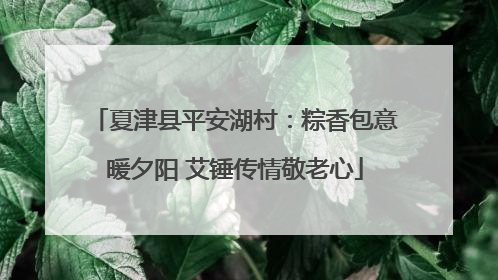 夏津县平安湖村：粽香包意暖夕阳 艾锤传情敬老心