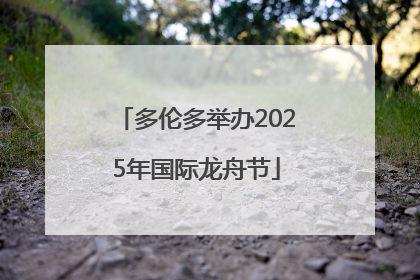多伦多举办2025年国际龙舟节