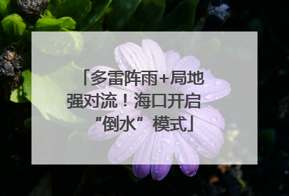 多雷阵雨+局地强对流！海口开启“倒水”模式