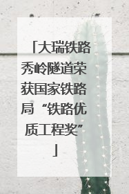 大瑞铁路秀岭隧道荣获国家铁路局“铁路优质工程奖”