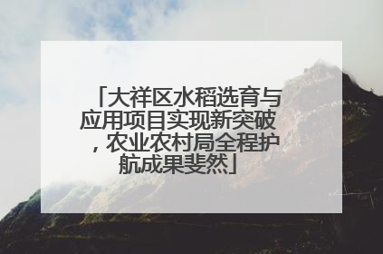 大祥区水稻选育与应用项目实现新突破，农业农村局全程护航成果斐然