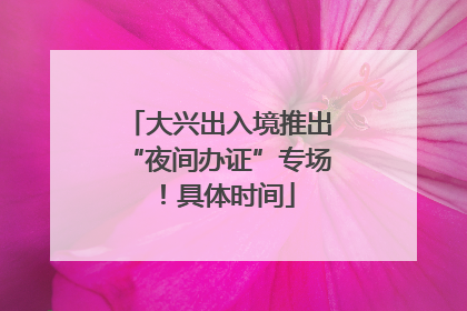 大兴出入境推出“夜间办证”专场！具体时间