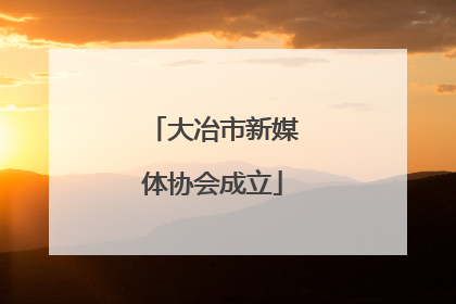 大冶市新媒体协会成立