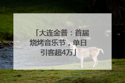 大连金普：首届烧烤音乐节，单日引客超4万