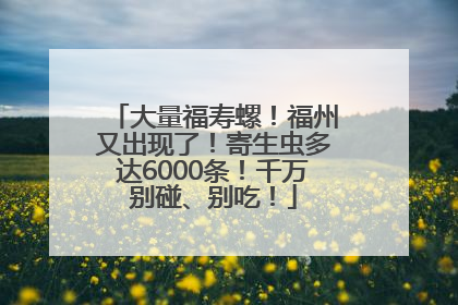 大量福寿螺！福州又出现了！寄生虫多达6000条！千万别碰、别吃！