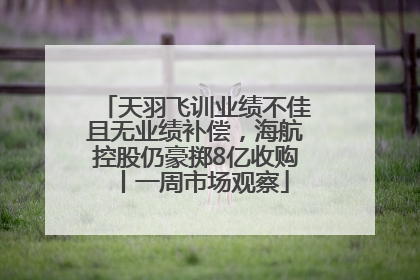 天羽飞训业绩不佳且无业绩补偿，海航控股仍豪掷8亿收购丨一周市场观察