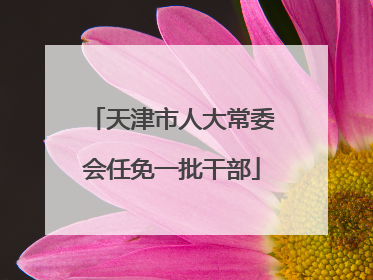 天津市人大常委会任免一批干部