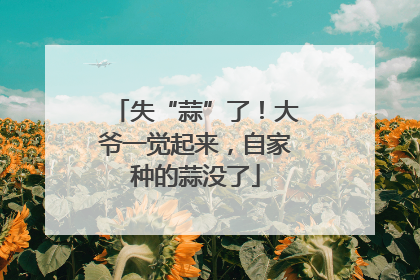 失“蒜”了！大爷一觉起来，自家种的蒜没了