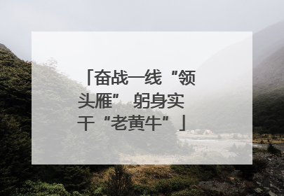 奋战一线“领头雁” 躬身实干“老黄牛”
