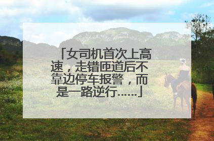 女司机首次上高速，走错匝道后不靠边停车报警，而是一路逆行……