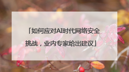 如何应对AI时代网络安全挑战，业内专家给出建议
