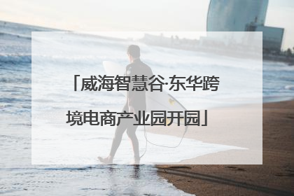威海智慧谷·东华跨境电商产业园开园