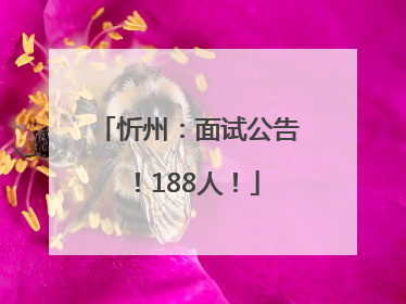 忻州：面试公告！188人！
