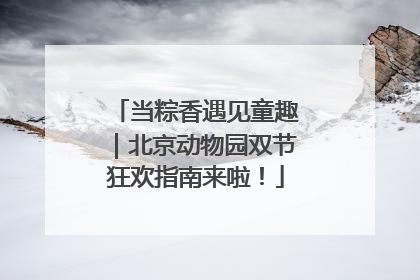 当粽香遇见童趣｜北京动物园双节狂欢指南来啦！