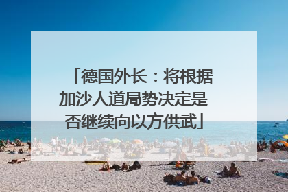 德国外长：将根据加沙人道局势决定是否继续向以方供武