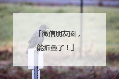 微信朋友圈，能折叠了！