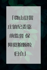 微山县留庄镇纪委靠前监督 保障夏粮颗粒归仓