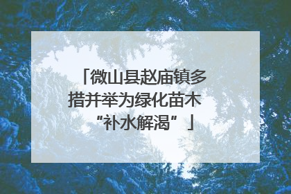 微山县赵庙镇多措并举为绿化苗木“补水解渴”