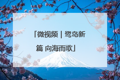 微视频｜鹭岛新篇 向海而歌