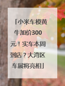 小米车模黄牛加价300元！实车本周到店？大湾区车展将亮相