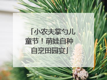 小农夫掌勺儿童节！萌娃自种自烹田园宴