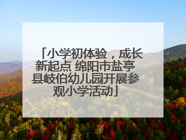 小学初体验，成长新起点 绵阳市盐亭县岐伯幼儿园开展参观小学活动