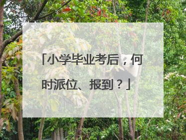 小学毕业考后，何时派位、报到？