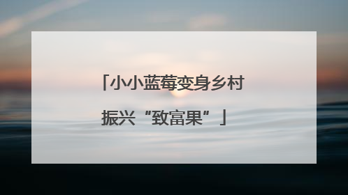 小小蓝莓变身乡村振兴“致富果”