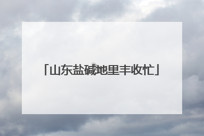 山东盐碱地里丰收忙