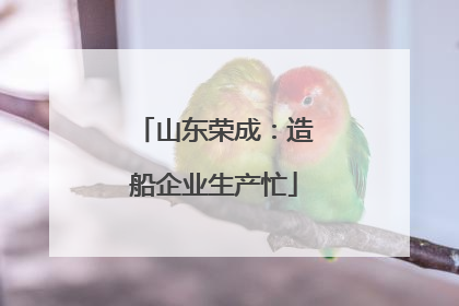 山东荣成：造船企业生产忙
