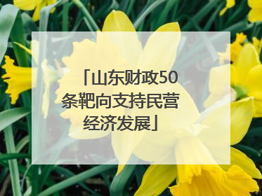 山东财政50条靶向支持民营经济发展