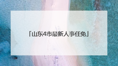 山东4市最新人事任免