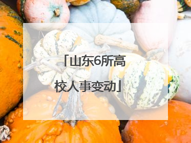 山东6所高校人事变动