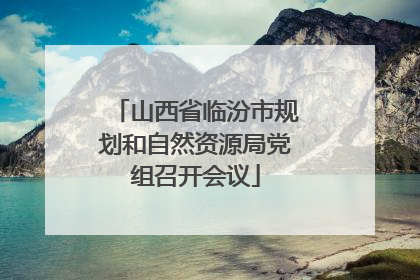 山西省临汾市规划和自然资源局党组召开会议