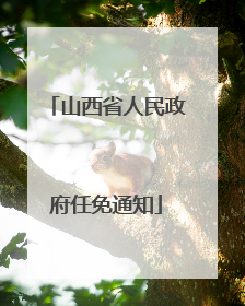 山西省人民政府任免通知