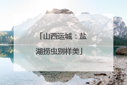 山西运城：盐湖捞虫别样美