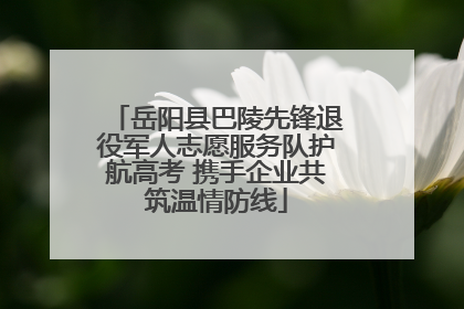 岳阳县巴陵先锋退役军人志愿服务队护航高考 携手企业共筑温情防线