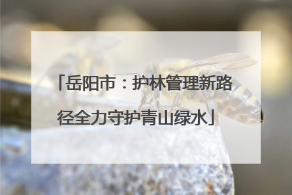 岳阳市：护林管理新路径全力守护青山绿水