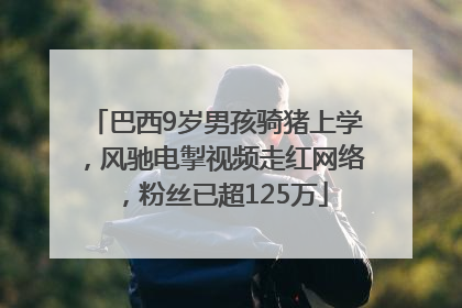 巴西9岁男孩骑猪上学，风驰电掣视频走红网络，粉丝已超125万