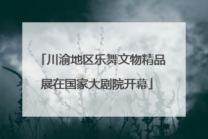 川渝地区乐舞文物精品展在国家大剧院开幕