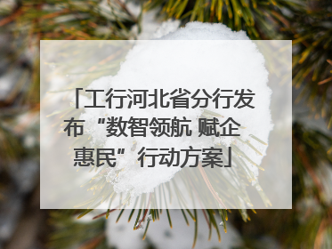 工行河北省分行发布“数智领航 赋企惠民”行动方案