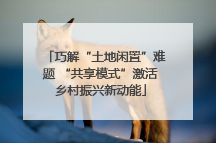 巧解“土地闲置”难题 “共享模式”激活乡村振兴新动能