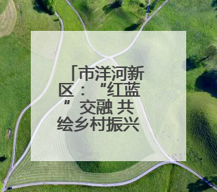 市洋河新区：“红蓝”交融 共绘乡村振兴幸福画卷
