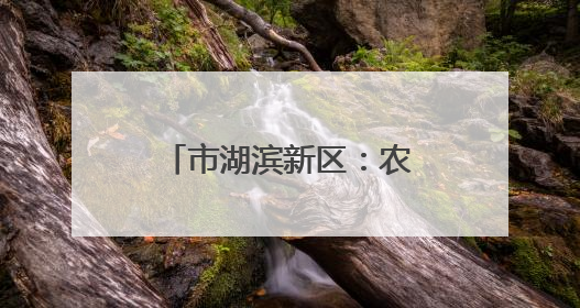 市湖滨新区：农文旅融合擘画乡村振兴新图景