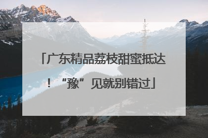 广东精品荔枝甜蜜抵达！“豫”见就别错过