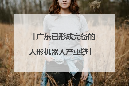 广东已形成完备的人形机器人产业链