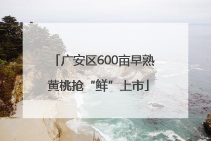 广安区600亩早熟黄桃抢“鲜”上市